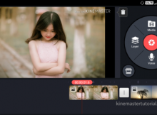 KineMaster Pro Video Editor on your smartphone